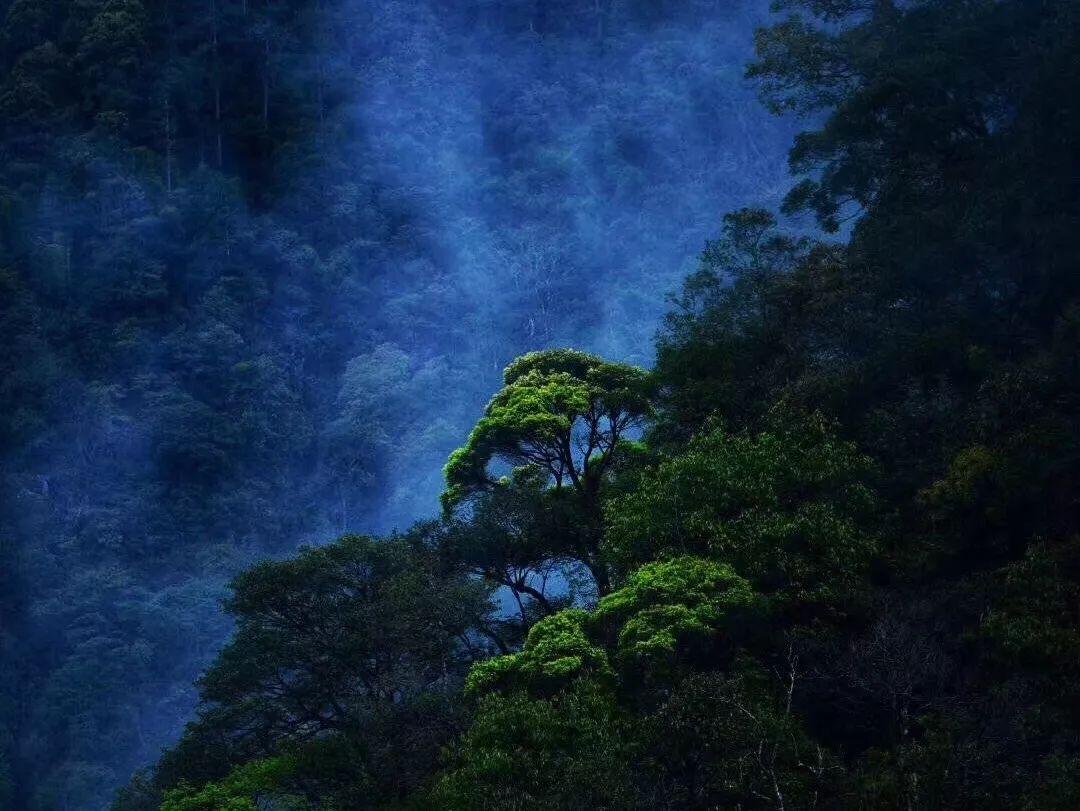 加入青春期怎样快速长高知识星球,掌握专业知识