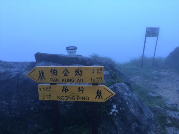 (新春走基层)长沙新春花市开市 市民花中寻年味